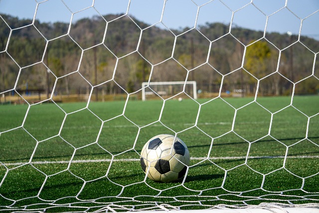 与各方进行 与各方进行