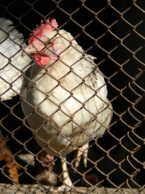 充满了戏剧 充满了戏剧