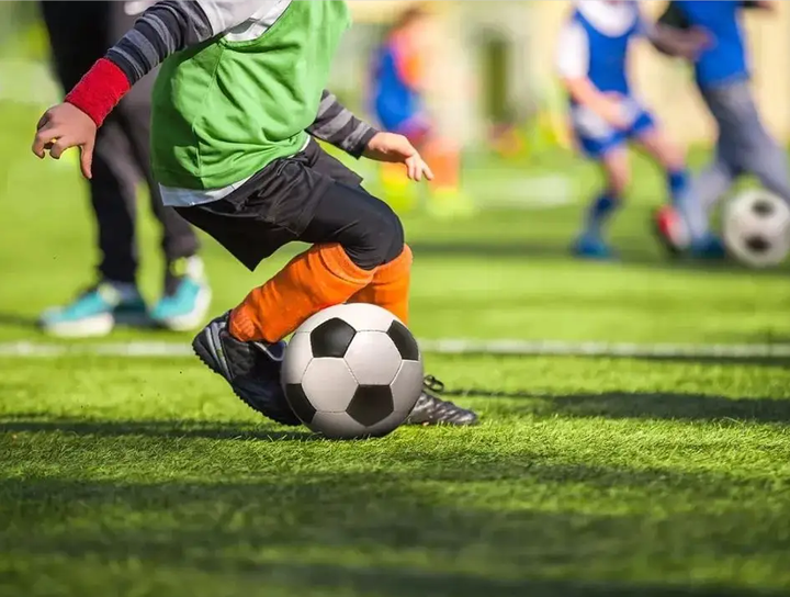 從而限制了 從而限制了