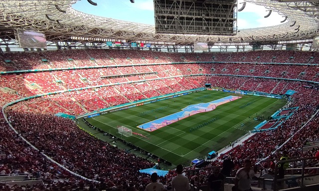 更是球迷们 更是球迷们